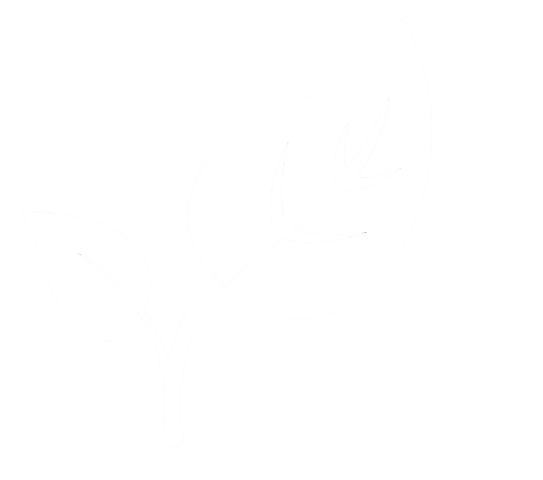 Lavanium
